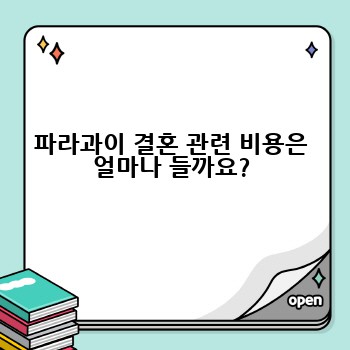 파라과이 결혼 관련 비용은 얼마나 들까요?