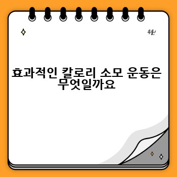 효과적인 칼로리 소모 운동은 무엇일까요