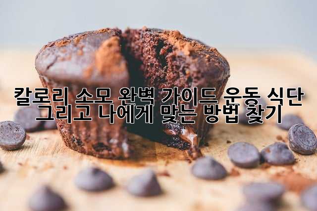 칼로리 소모 완벽 가이드: 운동, 식단, 그리고 나에게 맞는 방법 찾기