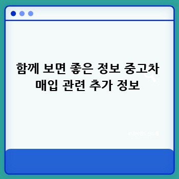 함께 보면 좋은 정보 중고차 매입 관련 추가 정보