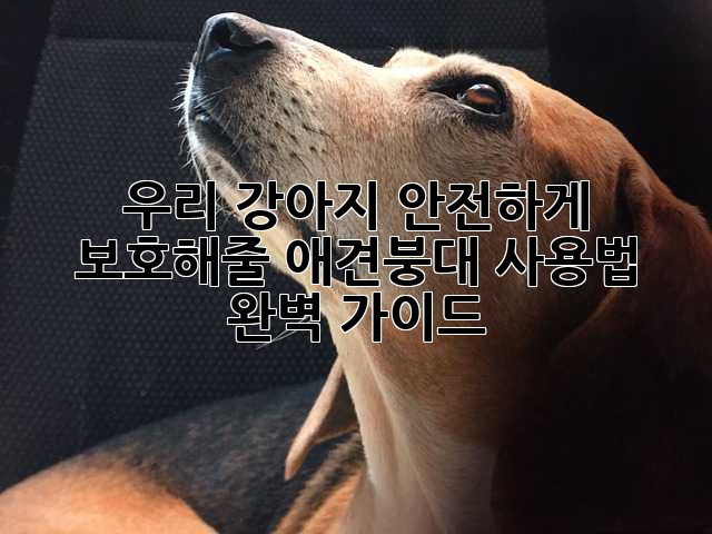 우리 강아지, 안전하게 보호해줄 애견붕대 사용법 완벽 가이드!