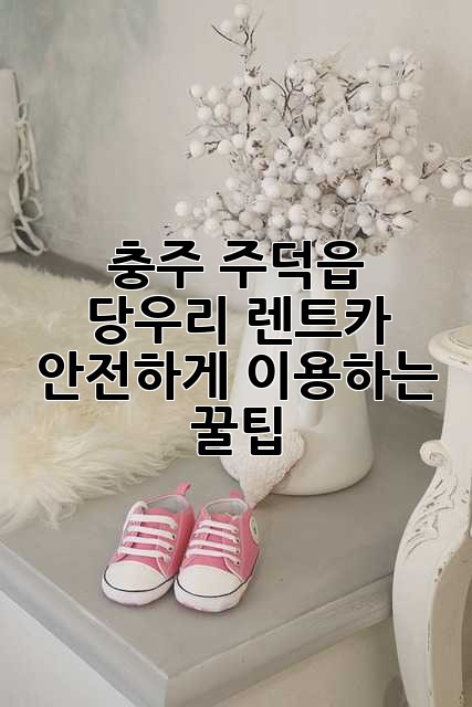 충주 주덕읍 당우리 렌트카 안전하게 이용하는 꿀팁!