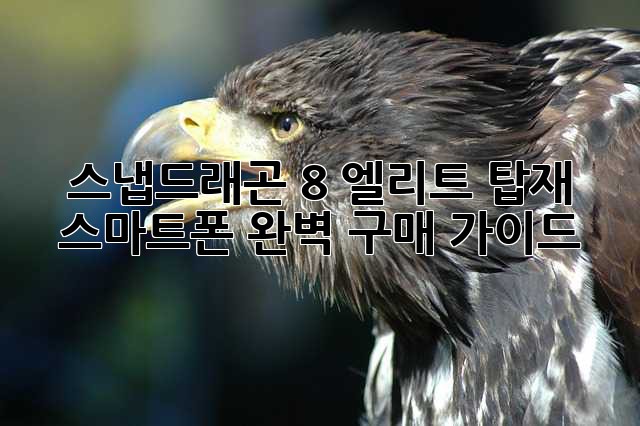 스냅드래곤 8 엘리트 탑재 스마트폰 완벽 구매 가이드