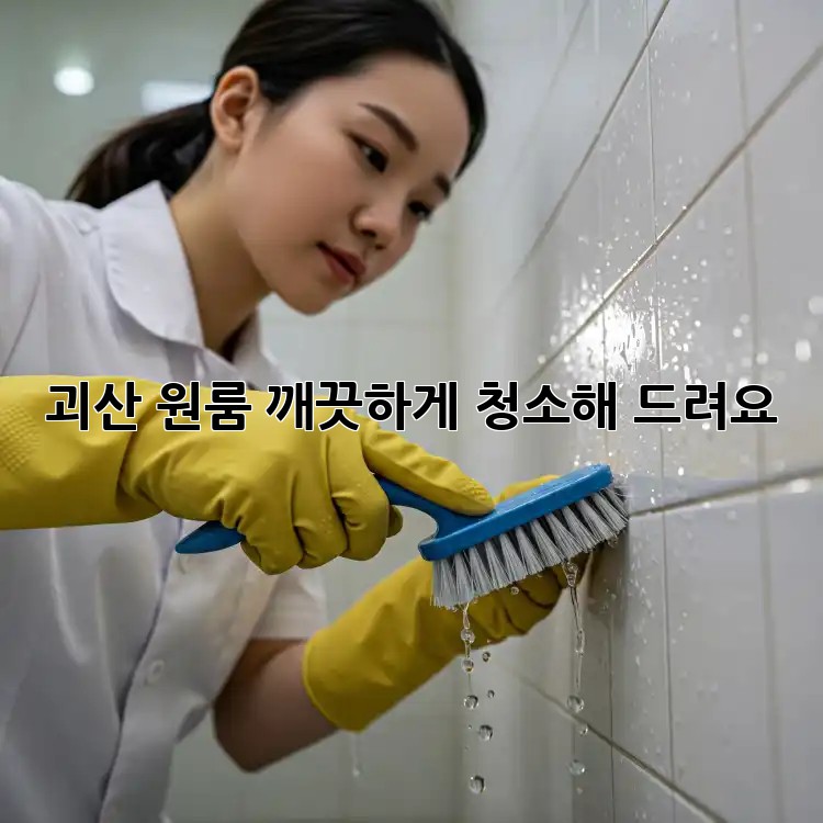 괴산 원룸, 깨끗하게 청소해 드려요! ✨ 괴산 원룸, 깨끗하게 청소해 드려요! ✨