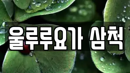 울루루요가 삼척