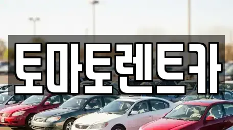 토마토렌트카