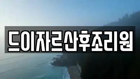 드이자르산후조리원