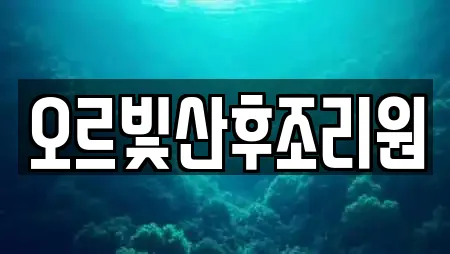 오르빛산후조리원