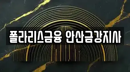 폴라리스금융 안산금강지사