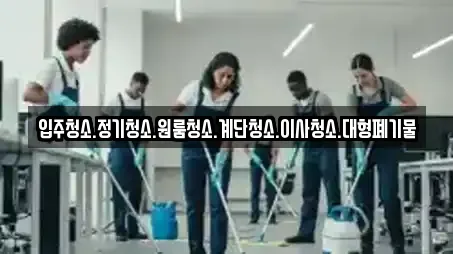 입주청소 전문 7업체 정보 (경기 연천군 신서면) 입주청소 전문 7업체 정보 (경기 연천군 신서면)