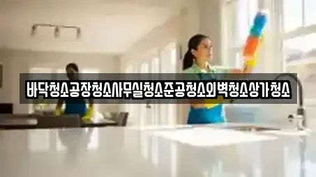 바닥청소공장청소사무실청소준공청소외벽청소상가청소