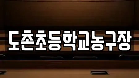 도촌초등학교농구장