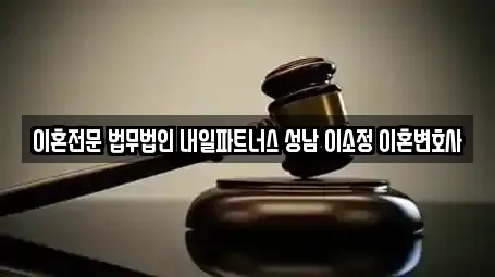 이혼전문 법무법인 내일파트너스 성남 이소정 이혼변호사