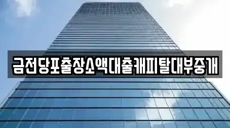 금전당포출장소액대출캐피탈대부중개