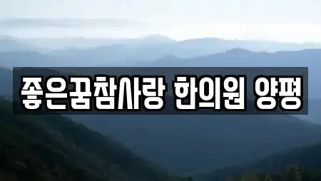 좋은꿈참사랑 한의원 양평