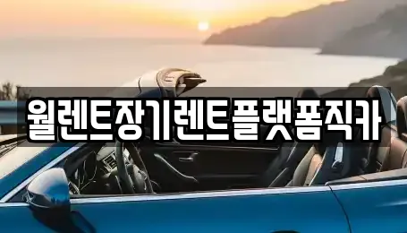 월렌트장기렌트플랫폼직카