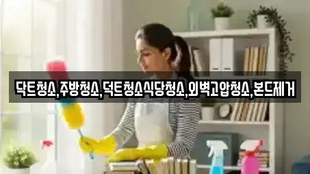 닥트청소,주방청소,덕트청소식당청소,외벽고압청소,본드제거