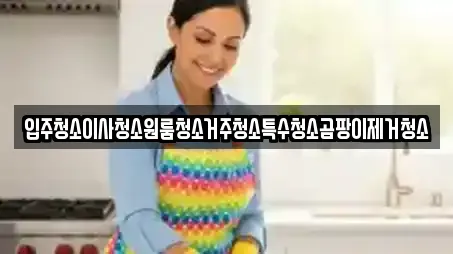 입주청소이사청소원룸청소거주청소특수청소곰팡이제거청소