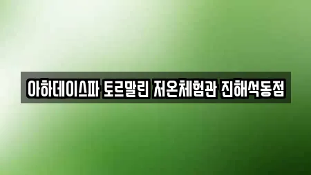 아하데이스파 토르말린 저온체험관 진해석동점