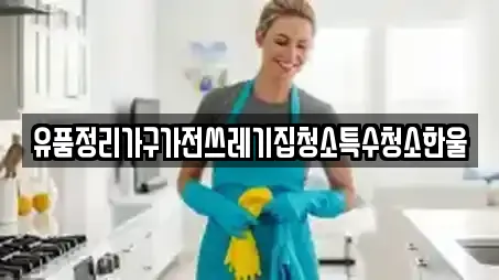 유품정리가구가전쓰레기집청소특수청소한울