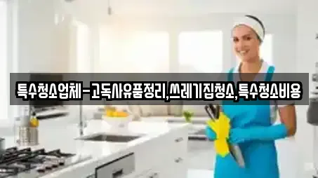 경북 김천 문당동 추천 입주청소,사무실청소,상가청소,청소업체,청소 업체 4곳