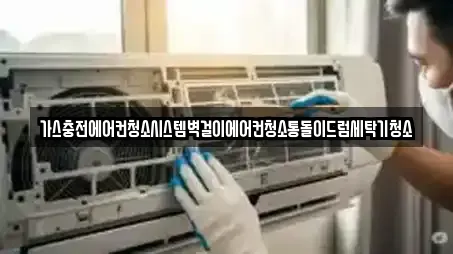 가스충전에어컨청소시스템벽걸이에어컨청소통돌이드럼세탁기청소