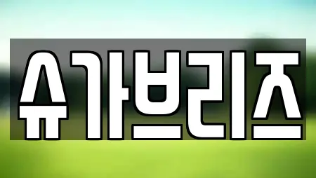 슈가브리즈