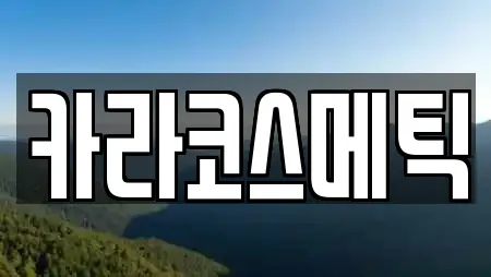 카라코스메틱