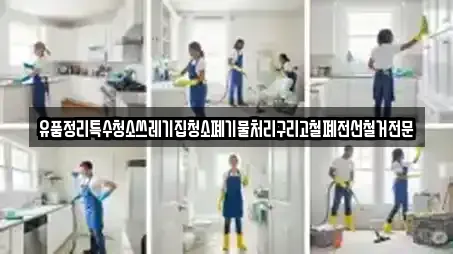 유품정리특수청소쓰레기집청소폐기물처리구리고철폐전선철거전문