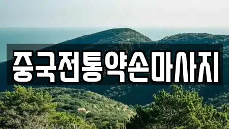 중국전통약손마사지