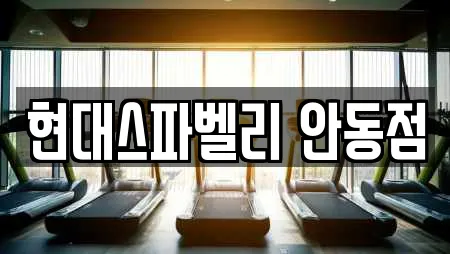 현대스파벨리 안동점