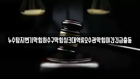 누수탐지변기막힘하수구막힘싱크대역류오수관막힘야간긴급출동