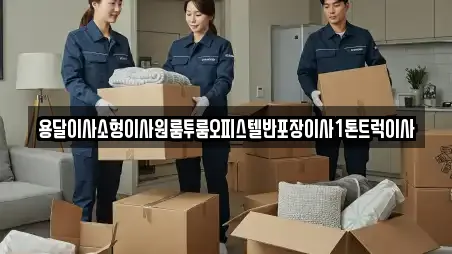 용달이사소형이사원룸투룸오피스텔반포장이사1톤트럭이사