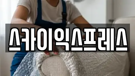 스카이익스프레스