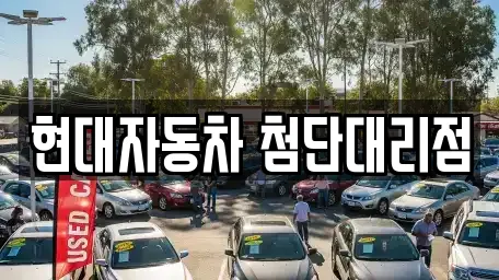 현대자동차 첨단대리점