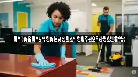 하수구뚫음하수도막힘뚫는곳정화조막힘횡주관오주관청소맨홀역류