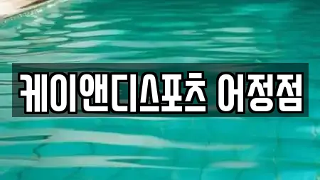 케이앤디스포츠 어정점