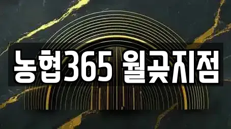 김포 월곶면 추천 창업투자,전당포,은행,대출,투자컨설팅 검색