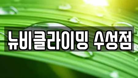 뉴비클라이밍 수성점