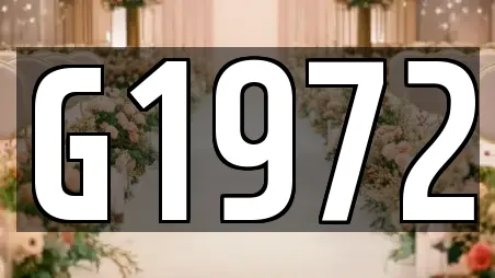 웨딩드레스 전문 대구 중구 서문로1가 가이드 21업체