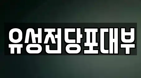유성전당포대부