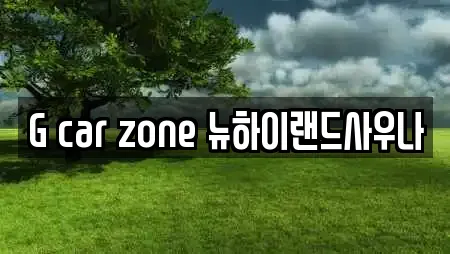 G car zone 뉴하이랜드사우나