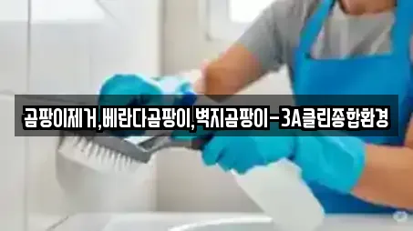 곰팡이제거,베란다곰팡이,벽지곰팡이-3A클린종합환경