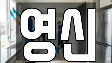 동해 신흥동 청소 선택 가이드 5