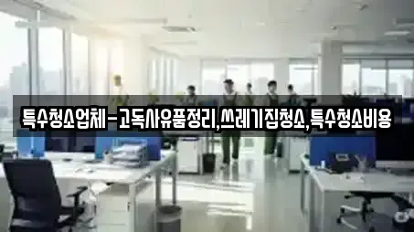 특수청소업체-고독사유품정리,쓰레기집청소,특수청소비용