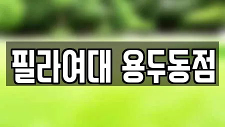 필라여대 용두동점