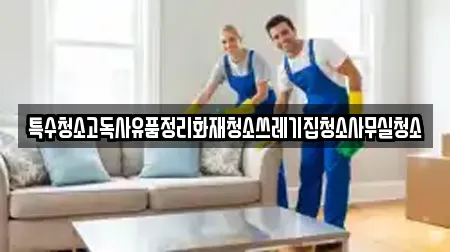 특수청소고독사유품정리화재청소쓰레기집청소사무실청소