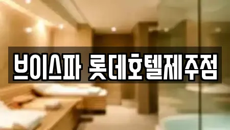 브이스파 롯데호텔제주점