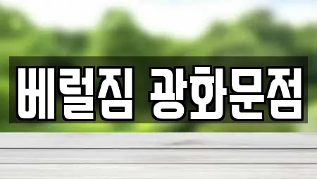 베럴짐 광화문점