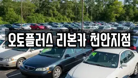 오토플러스 리본카 천안지점